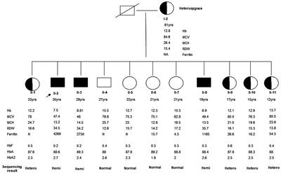 Case report: A novel 11-bp deletion in exon 11 causing a frameshift in the C-terminal of the ALAS2 gene leading to X-linked sideroblastic anemia—a family study